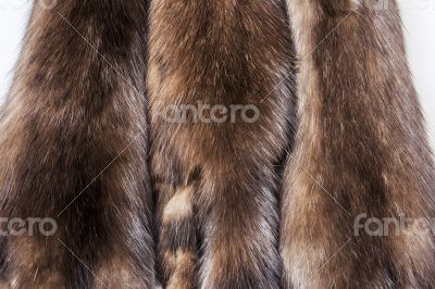 Skins of a sable
