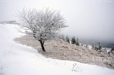 winter calm mountain landscape