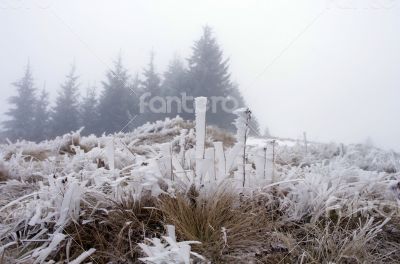 winter calm mountain landscape