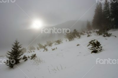 winter calm mountain landscape