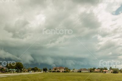 Florida Summer Storms