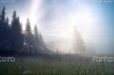 evening mountain plateau landscape (Carpathian, Ukraine) 