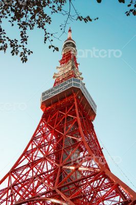 Tokyo Tower in Winter