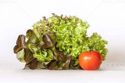 Bunch of lettuce leaves of different grades