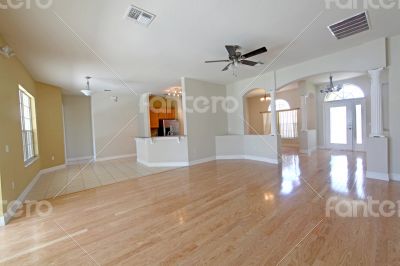 Empty House