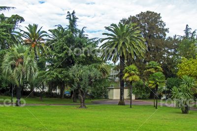 Corner of park in the Mediterranean