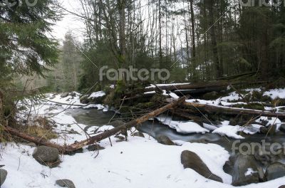 Flowing water of Carpathian mountain stream