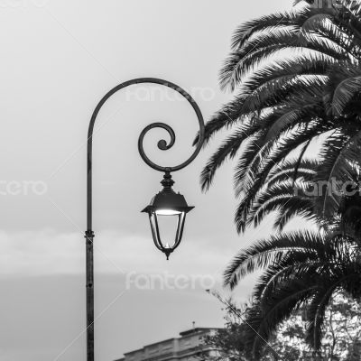 Corner of park in the Mediterranean