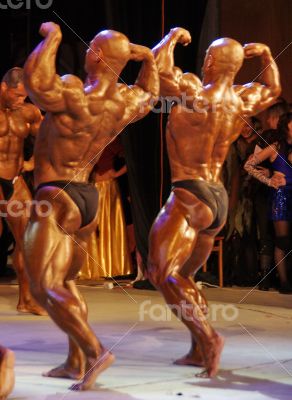 group of muscular male torsos