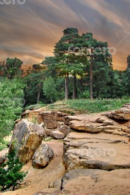Landscape with stones and pine forest