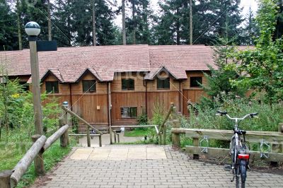 Forest Houses