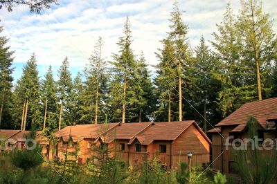 Forest Houses