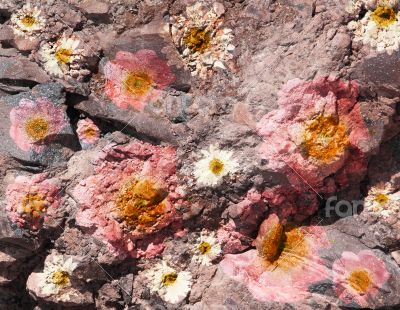 Scenic abstract background on the stones with pink