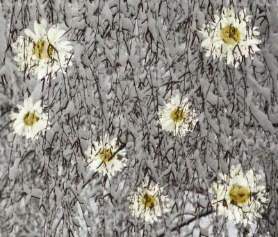 Scenic abstract floral background with daisies 