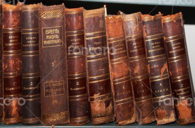 Row of old books cover spines