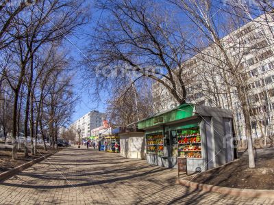 Pushkino, Russia, spring landscape