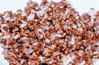 Cooked Brown Rice