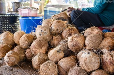 Farmer cutting coconut shell