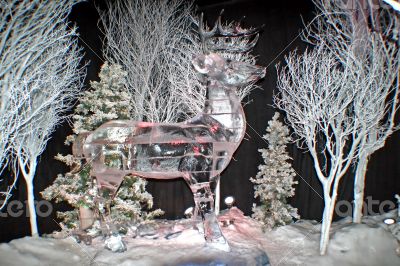 Ice Sculpture