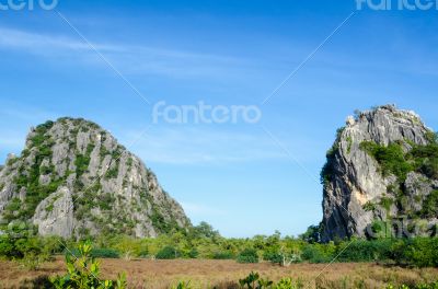 Landscape forest and mountain