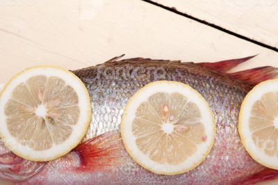 fresh whole raw fish