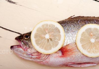 fresh whole raw fish