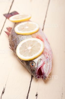 fresh whole raw fish