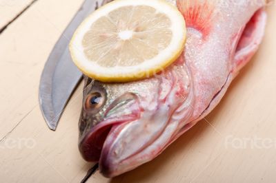 fresh whole raw fish