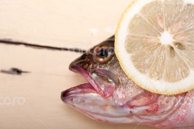 fresh whole raw fish