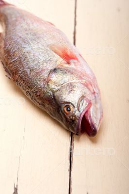 fresh whole raw fish