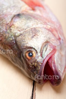 fresh whole raw fish