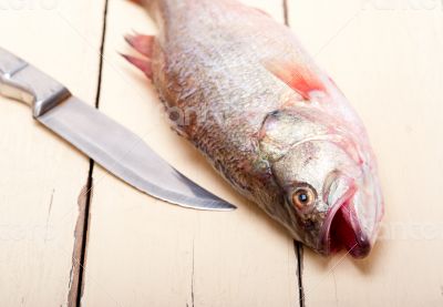 fresh whole raw fish