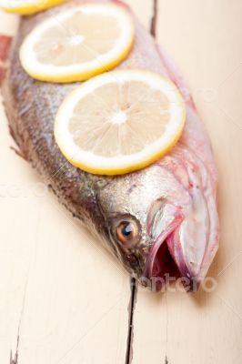 fresh whole raw fish