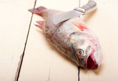 fresh whole raw fish