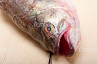 fresh whole raw fish