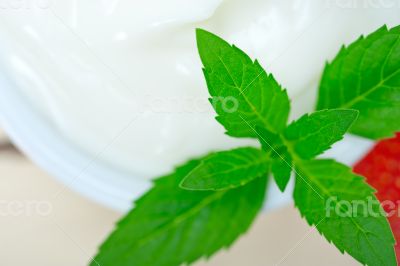 organic Greek yogurt and strawberry