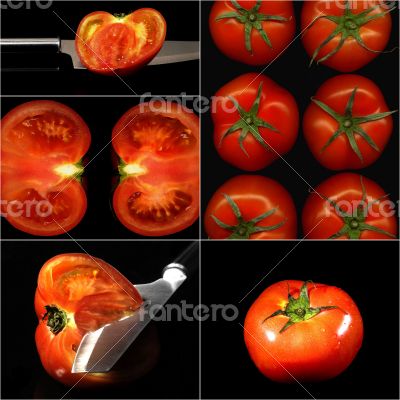 tomatoes collage