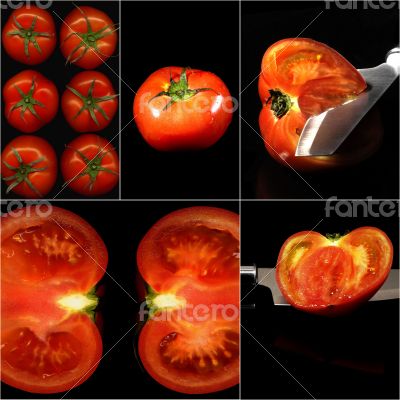 tomatoes collage