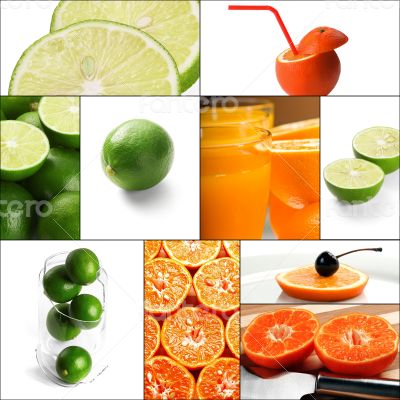 citrus fruits collage