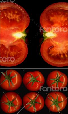 tomatoes collage