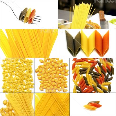 various type of Italian pasta collage