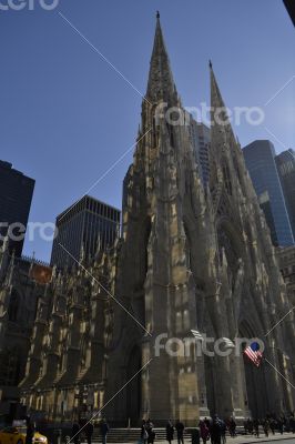 Reflections at St. Patrick`s