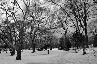 Central Park covered with snow