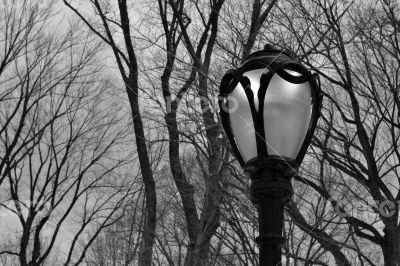 Lamppost in Central Park