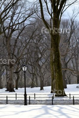 Lamppost in the Snow