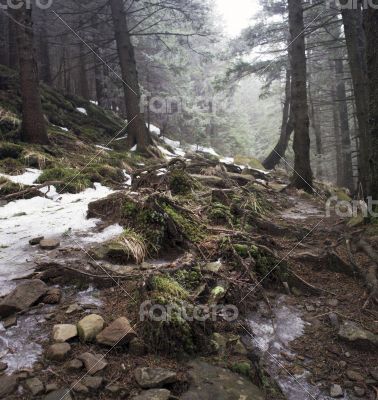 winter calm mountain landscape