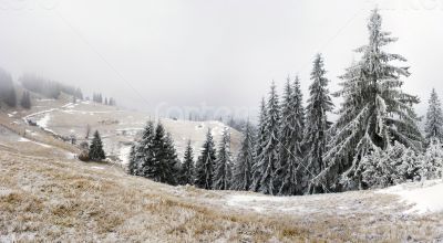 winter calm mountain landscape