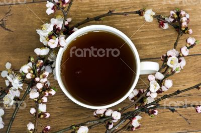 tea with apricot flowers and branches on table, top view