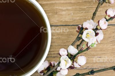 tea with apricot flowers and branches on table, top view