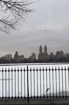 Frozen Reservoir